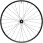 WTB Proterra Light i25 Front Wheel - 700 12 x 100mm Center-Lock Black 28H