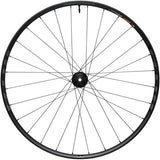 WTB Proterra Light i25 Rear Wheel - 700 12 x 142mm Center-Lock Black XDR 28H
