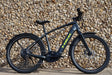 Allant +8S image 1