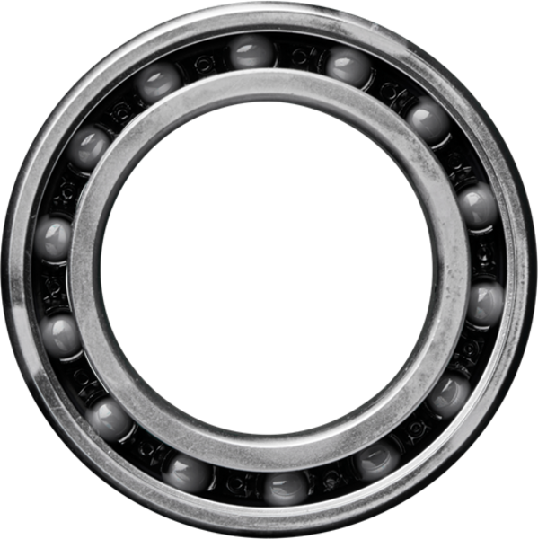 6902 Bearing (61902)