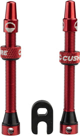 55mm Tubeless Presta Valve Set