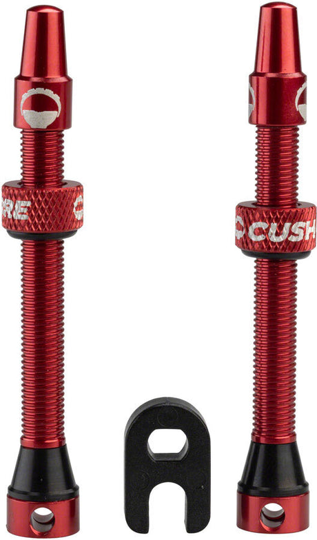 55mm Tubeless Presta Valve Set