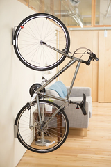 Single Bike Hinge Wall Mount Rack