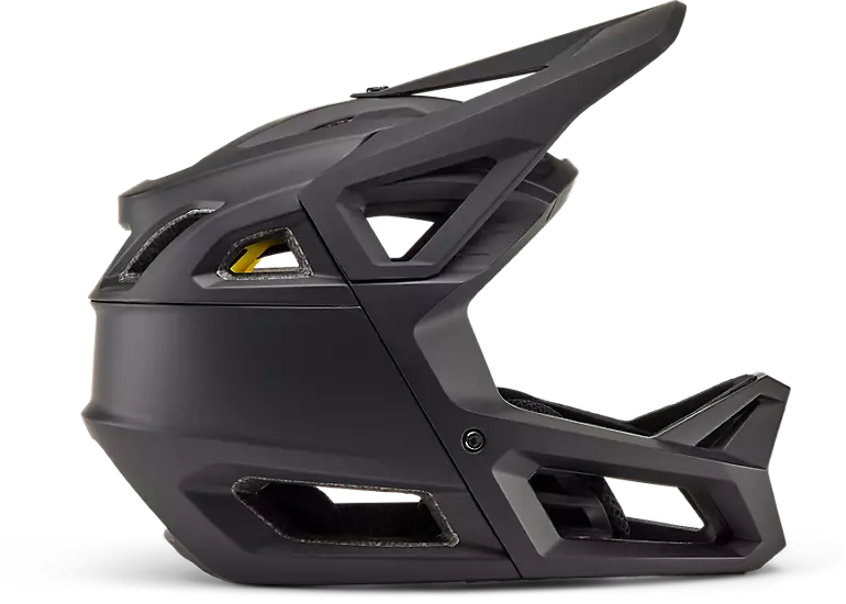 Proframe Helmet