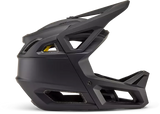 Proframe Helmet