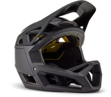 Proframe Helmet