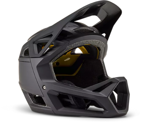 Proframe Helmet