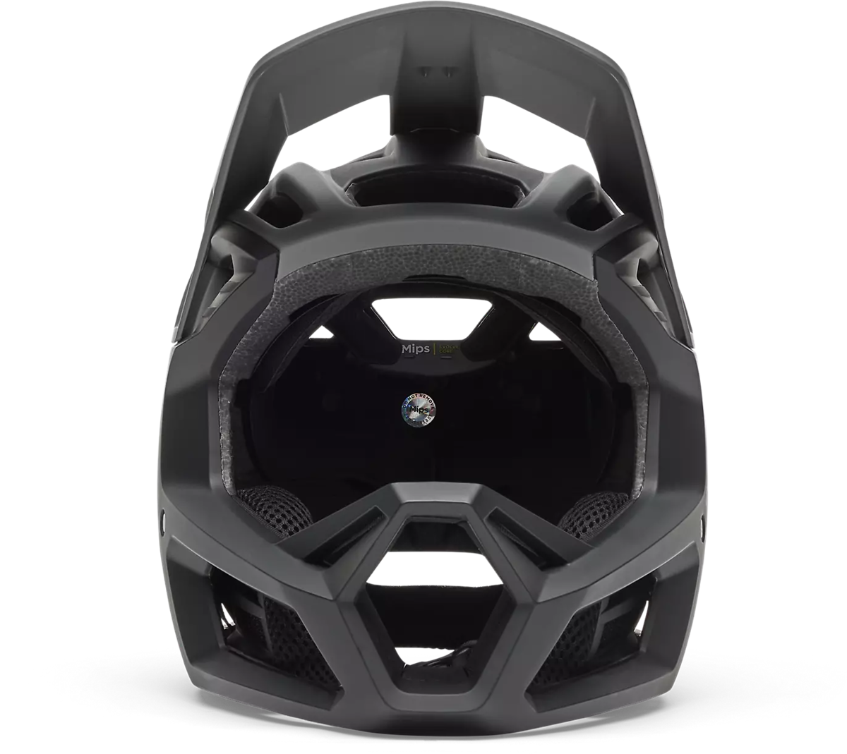 Proframe Rizer Helmet