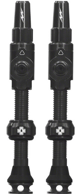 Big Bore Lite Tubeless Valve Stems