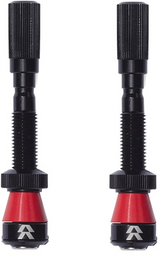 Fillmore Tubeless Valve