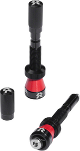 Fillmore Tubeless Valve