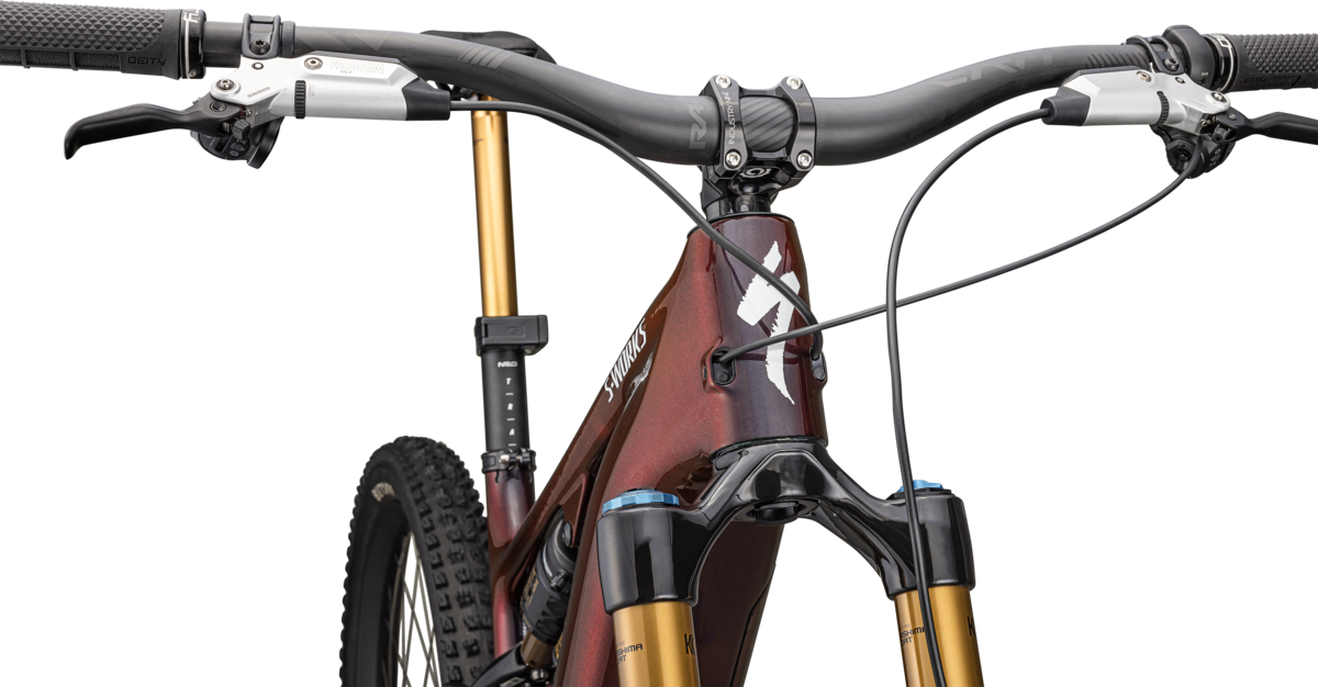 S-Works Turbo Levo 4