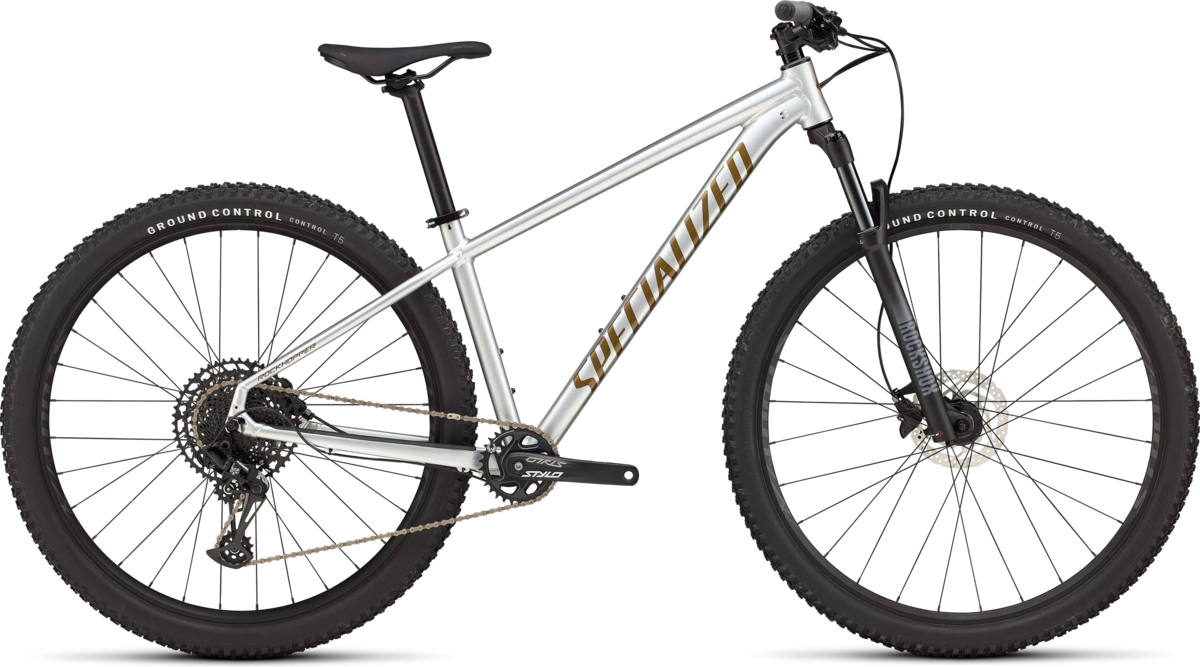 Specialized Rockhopper Expert, Gloss Silver Dust / Satin Burnt Gold Metallic / S