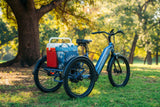 Trike 1